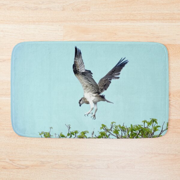 Item preview, Osprey learning to fly  designed and sold by Mark Grimsley.