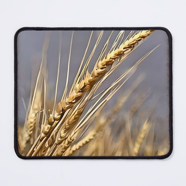 Item preview, Wheat Friday designed and sold by eduk8byfoyles.