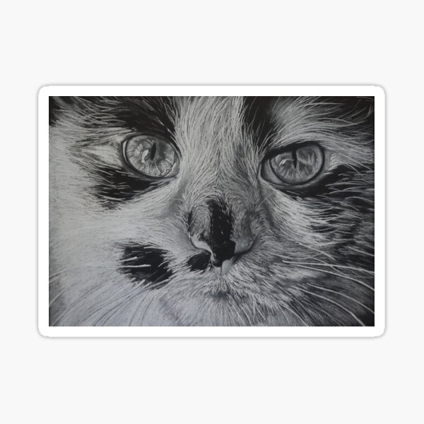 Calico Sticker