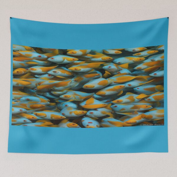 Item preview, COI FISH designed and sold by krishana3d.