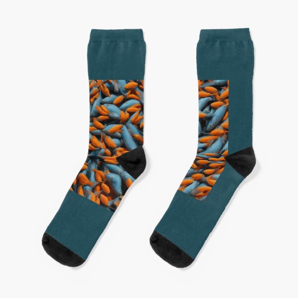 Carp Fishing Funny Socks for Sale