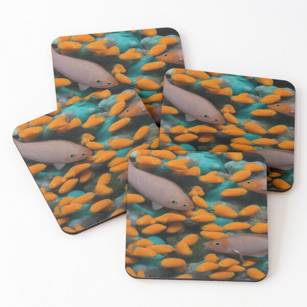 Item preview, COI FISH designed and sold by krishana3d.