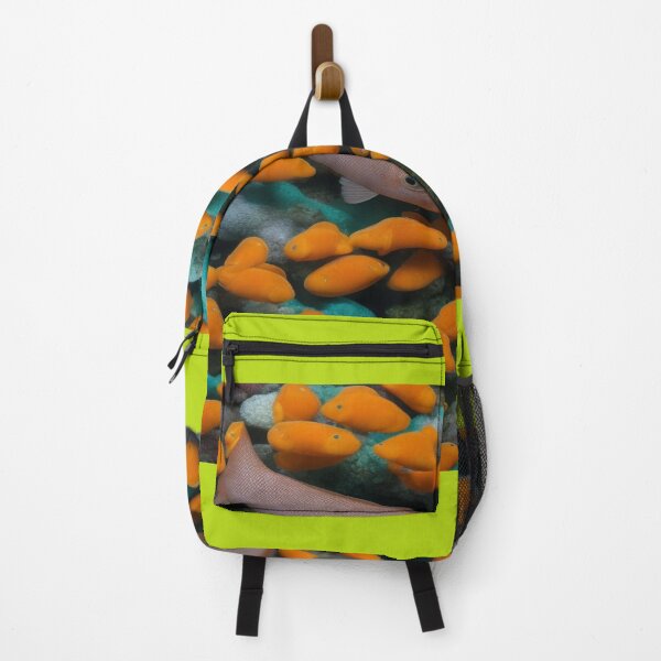 Item preview, COI FISH designed and sold by krishana3d.