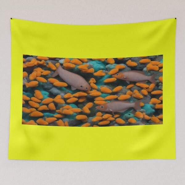 Item preview, COI FISH designed and sold by krishana3d.