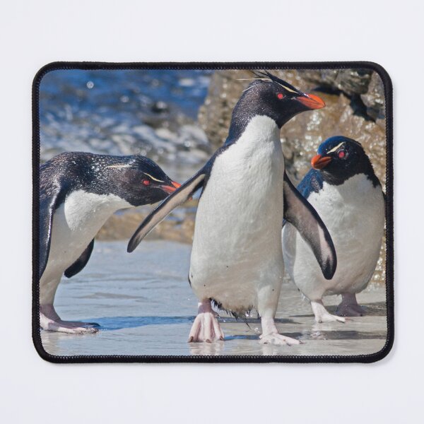 Item preview, The Rocky Horror Show (Rockhopper Penguins, Falklands) designed and sold by Krys Bailey.