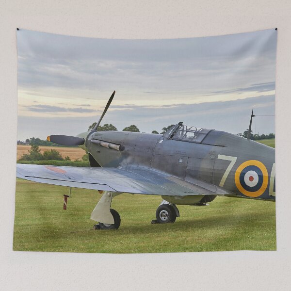Item preview, Hawker Sea Hurricane 1B designed and sold by Richard Allen.
