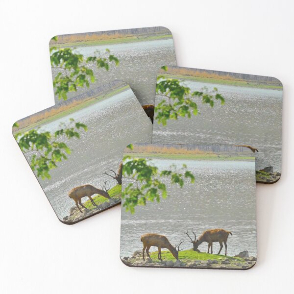 Item preview, Deer in the jungle designed and sold by WabiSabi-Photos.