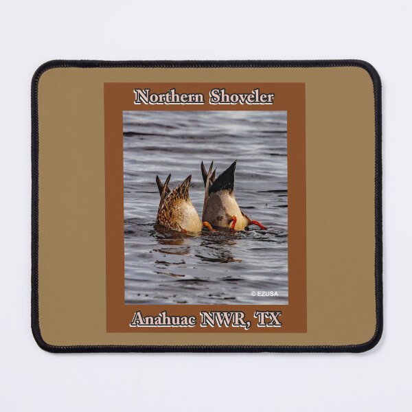 Item preview, Give The Bird To Your Lover. Northern Shoveler, Anahuac NWR, Texas. designed and sold by MoreEZUSA-Here.
