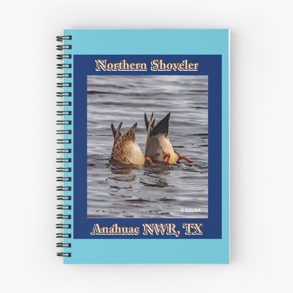 Item preview, Give Someone You Love The Bird, Northern Shoveler, Anahuac NWR, Texas,  designed and sold by MoreEZUSA-Here.