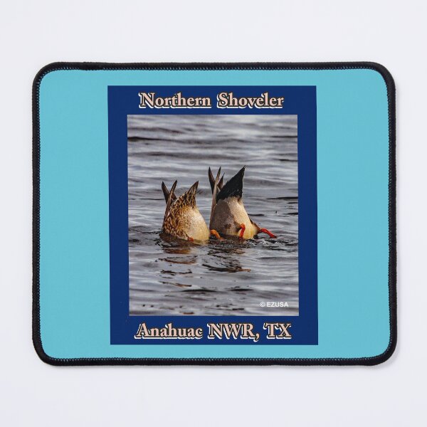 Item preview, Give Someone You Love The Bird, Northern Shoveler, Anahuac NWR, Texas,  designed and sold by MoreEZUSA-Here.