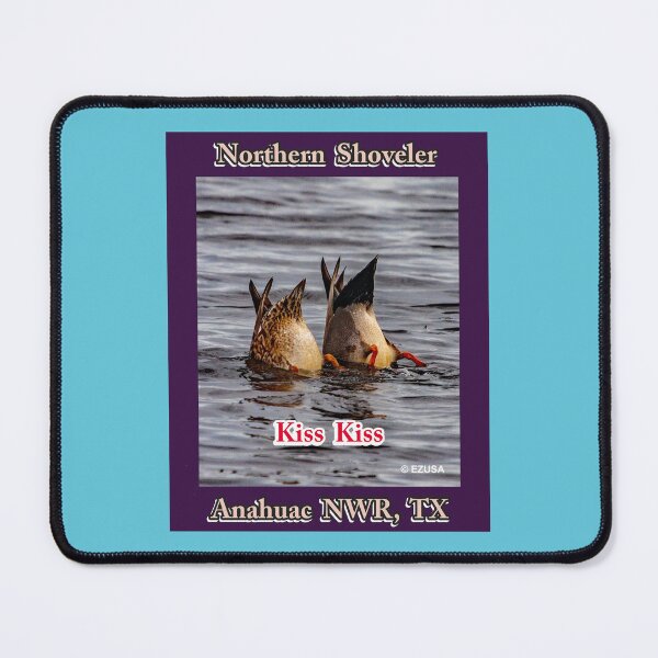 Item preview, The Perfect Gift For A Bird Lover, Northern Shoveler, Anahuac NWR, Texas, designed and sold by MoreEZUSA-Here.
