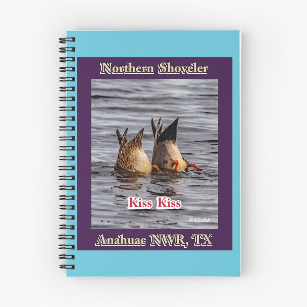 Item preview, The Perfect Gift For A Bird Lover, Northern Shoveler, Anahuac NWR, Texas,  designed and sold by MoreEZUSA-Here.