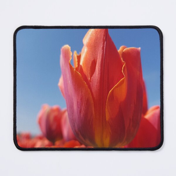 Item preview, Tulip Field designed and sold by NerdyDreamerArt.