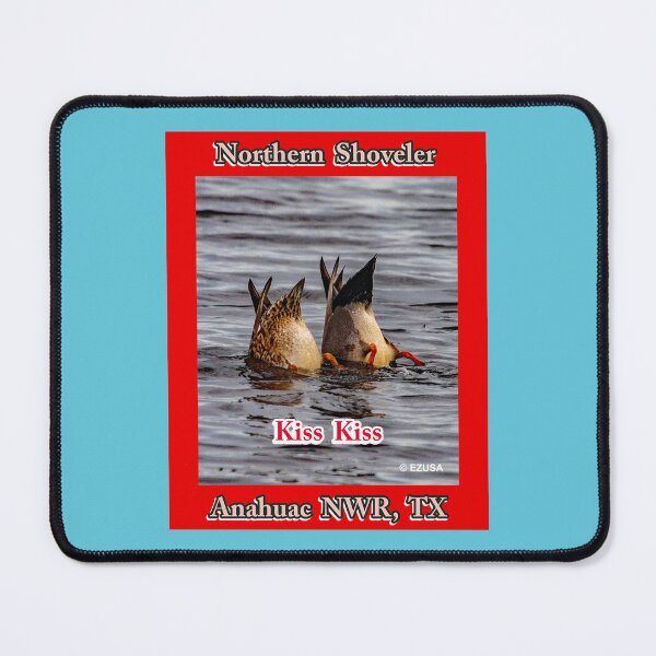 Item preview, For The Bird Lover In You, Northern Shoveler, Anahuac NWR, Texas designed and sold by MoreEZUSA-Here.