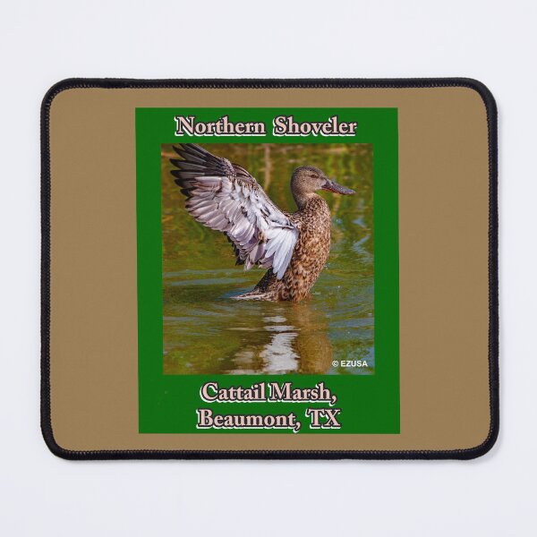 Item preview, Give The Bird To Your Lover. Northern Shoveler, Cattail Marsh, Beaumont, Texas. designed and sold by MoreEZUSA-Here.