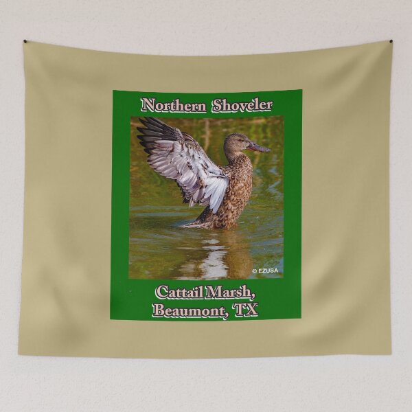 Item preview, Give The Bird To Your Lover. Northern Shoveler, Cattail Marsh, Beaumont, Texas. designed and sold by MoreEZUSA-Here.