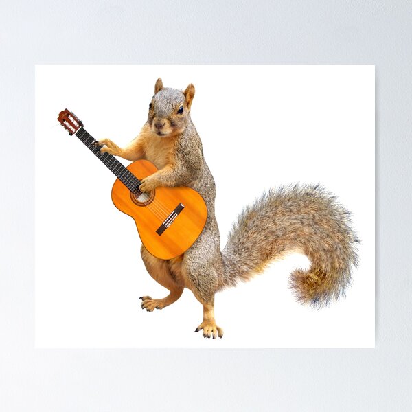 Item preview, Squirrel playing Acoustic Guitar designed and sold by catsclips.
