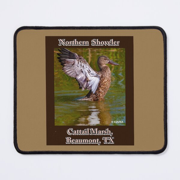 Item preview, Give Someone You Love The Bird. Northern Shoveler, Cattail Marsh, Beaumont, Texas. designed and sold by MoreEZUSA-Here.