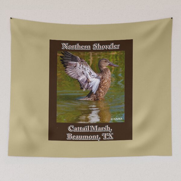 Item preview, Give Someone You Love The Bird. Northern Shoveler, Cattail Marsh, Beaumont, Texas. designed and sold by MoreEZUSA-Here.
