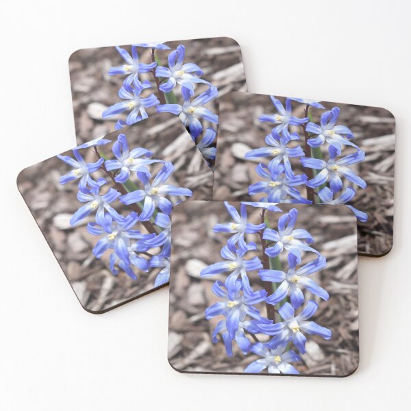 Item preview, Glory-of-the-Snow in Bloom designed and sold by Kathleen Brant.