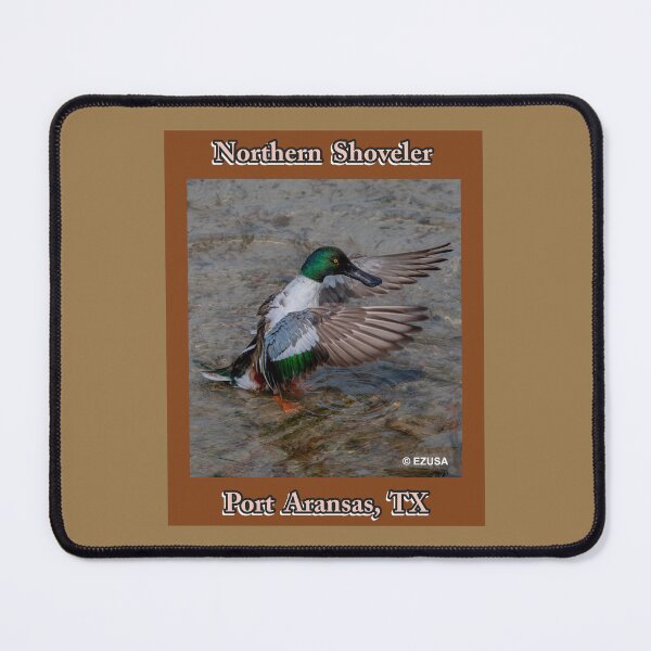 Item preview, The Perfect Gift For A Bird Lover. Northern Shoveler, Port Aransas, Texas. designed and sold by MoreEZUSA-Here.