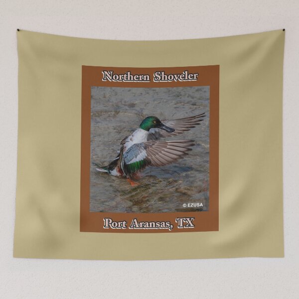 Item preview, The Perfect Gift For A Bird Lover. Northern Shoveler, Port Aransas, Texas. designed and sold by MoreEZUSA-Here.