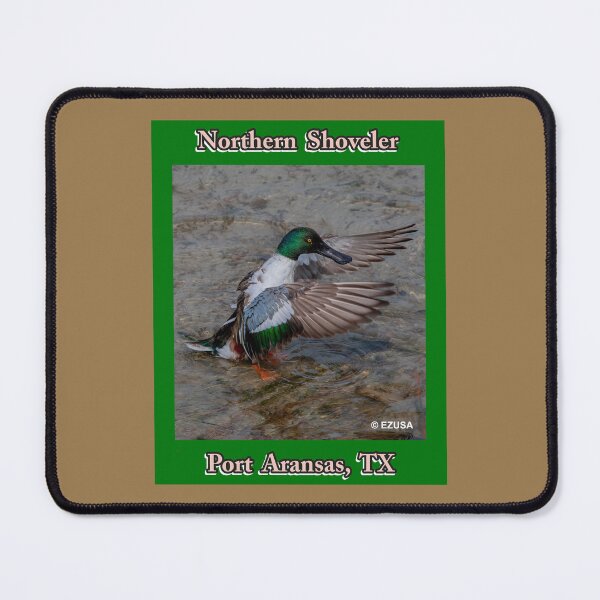 Item preview, For The Bird Lover In You. Northern Shoveler, Port Aransas, Texas. designed and sold by MoreEZUSA-Here.