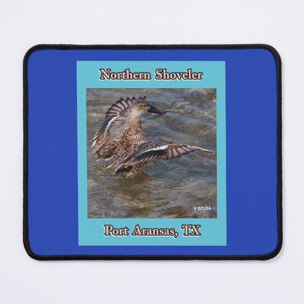 Item preview, Give The Bird To Your Lover, Northern Shoveler, Port Aransas, Texas, designed and sold by MoreEZUSA-Here.