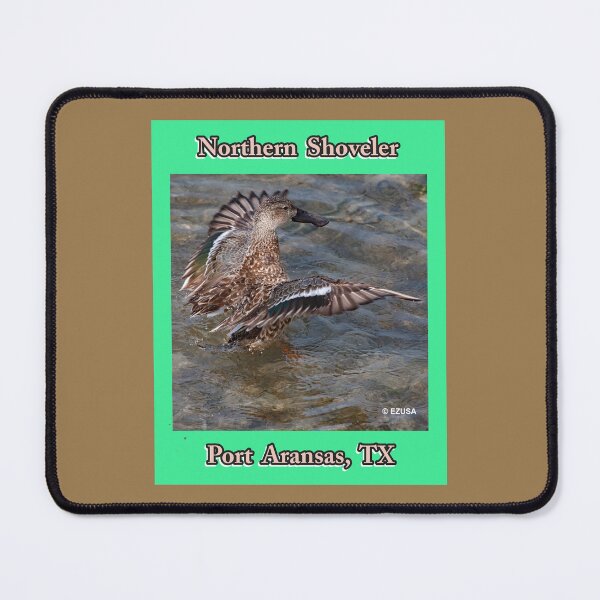 Item preview, Give Someone You Love The Bird. Northern Shoveler, Port Aransas, Texas. designed and sold by MoreEZUSA-Here.