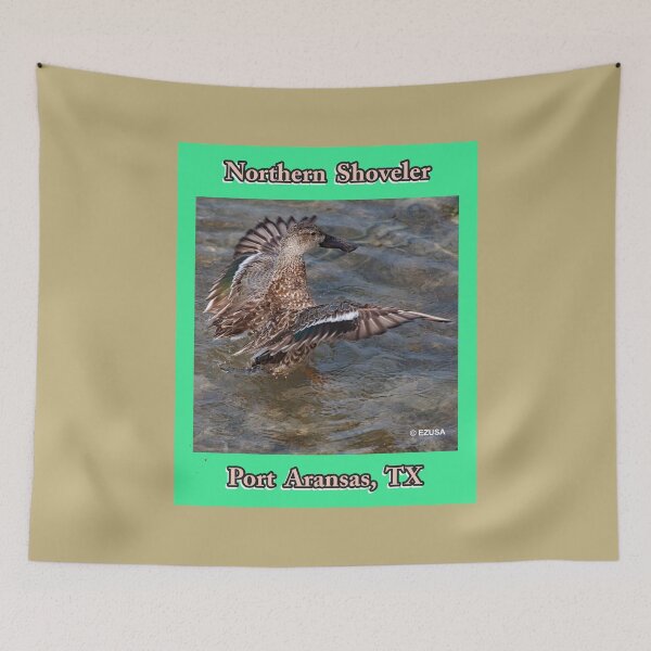 Item preview, Give Someone You Love The Bird. Northern Shoveler, Port Aransas, Texas. designed and sold by MoreEZUSA-Here.