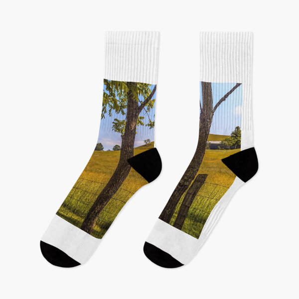 Item preview, Trees Frame The Countryside designed and sold by Jim Love.