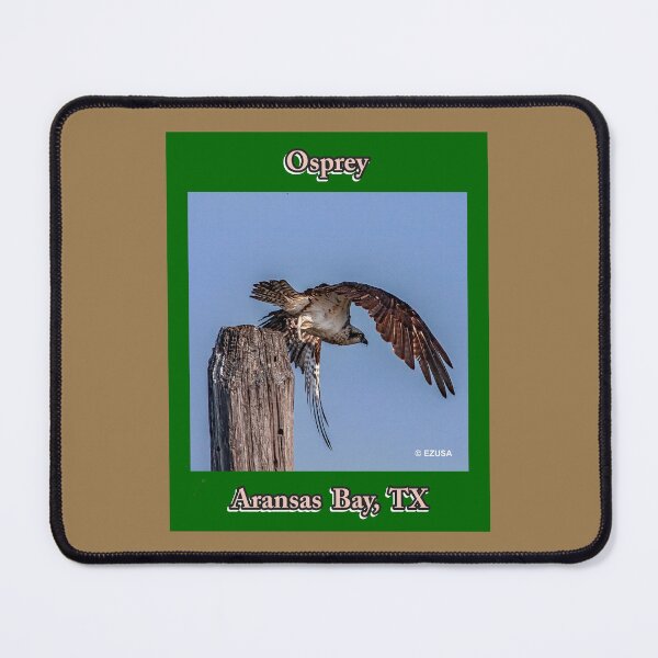 Item preview, The Perfect Gift For A Bird Lover, Osprey, Aransas Bay, Texas. designed and sold by MoreEZUSA-Here.
