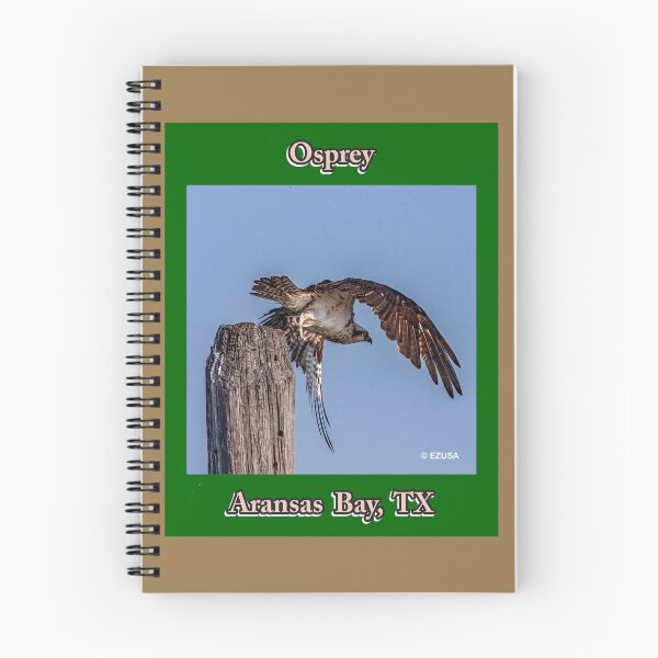 Item preview, The Perfect Gift For A Bird Lover, Osprey, Aransas Bay, Texas. designed and sold by MoreEZUSA-Here.