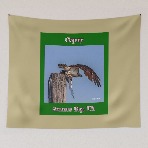 Item preview, The Perfect Gift For A Bird Lover, Osprey, Aransas Bay, Texas. designed and sold by MoreEZUSA-Here.