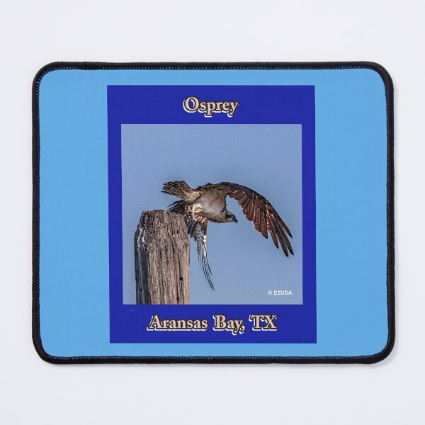 Item preview, For The Bird Lover In You, Osprey, Aransas Bay, Texas, designed and sold by MoreEZUSA-Here.