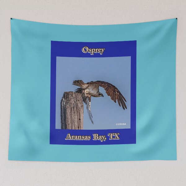 Item preview, For The Bird Lover In You, Osprey, Aransas Bay, Texas,  designed and sold by MoreEZUSA-Here.