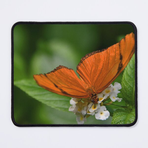 Item preview, Orange Julia _Dryas iulia called the Julia butterfly designed and sold by Poete100.
