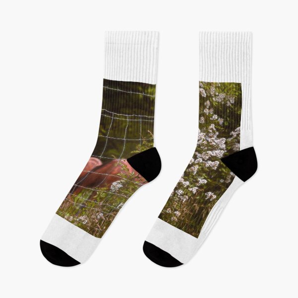 Item preview, Wildflowers And Grazing Horses designed and sold by Jim Love.