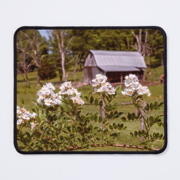 Item preview, Flowering Spring In The Barnyard designed and sold by Jim Love.