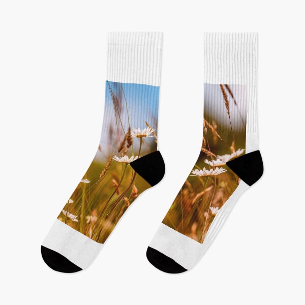 Item preview, Riverside Daisies In The Breeze 2 designed and sold by Jim Love.
