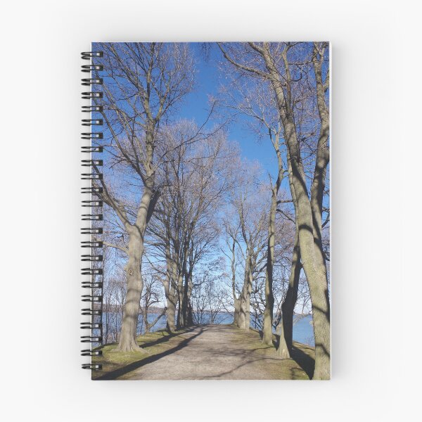 Item preview, Battery A, Dundurn Castle designed and sold by SRosuphotos.