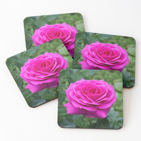 Item preview, Voilet Rose in Bloom designed and sold by Tim Dusenberry.