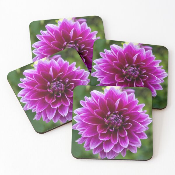 Item preview, Dahlia in Bloom designed and sold by Tim Dusenberry.