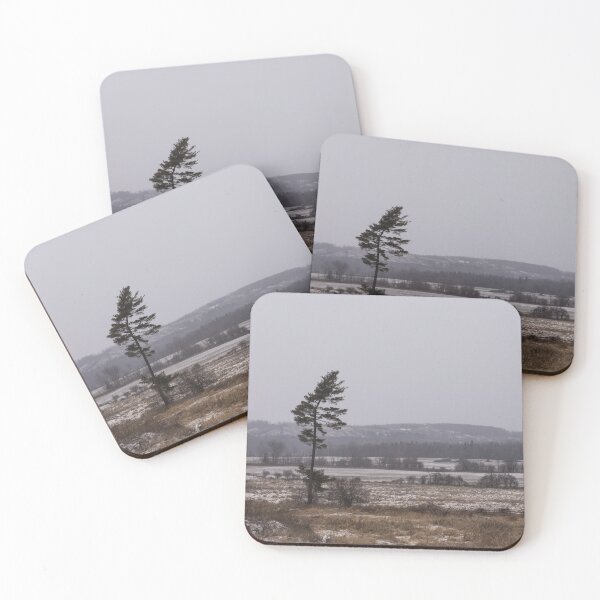 Item preview, Canadian North - Lone Pine, Fields, Hills and Fresh Snow designed and sold by Georgia Mizuleva.