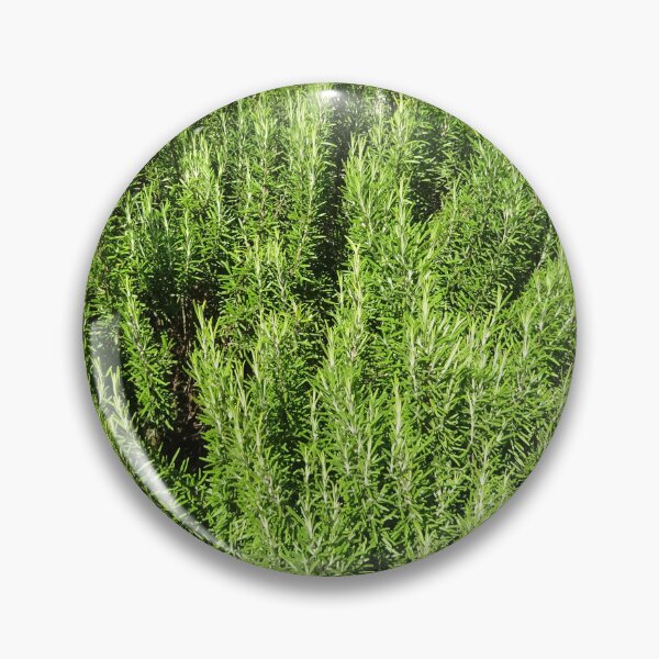 Item preview, A sea of ​​rosemary designed and sold by walterfest.