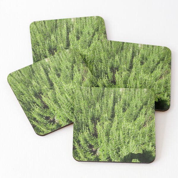 Item preview, A sea of ​​rosemary designed and sold by walterfest.