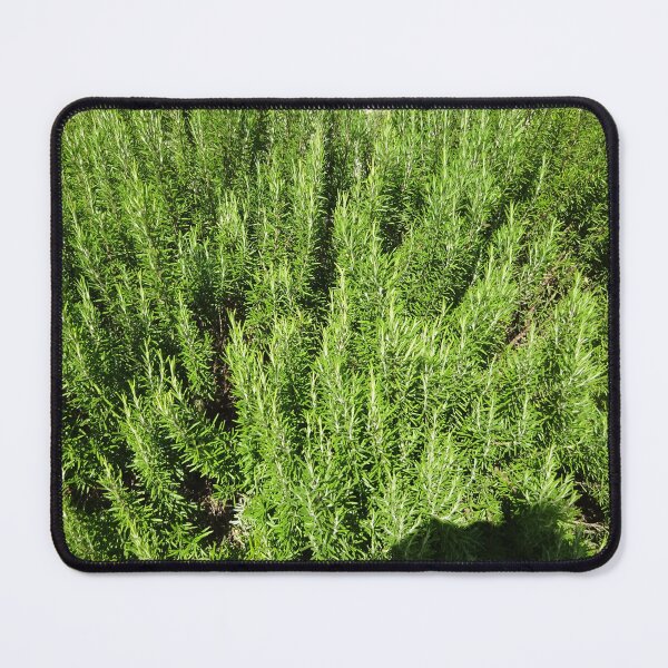 Item preview, A sea of ​​rosemary designed and sold by walterfest.