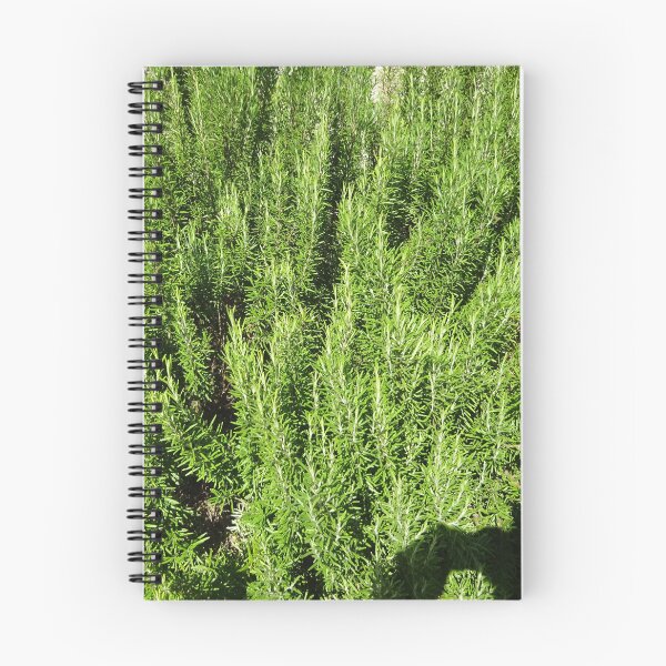 Item preview, A sea of ​​rosemary designed and sold by walterfest.