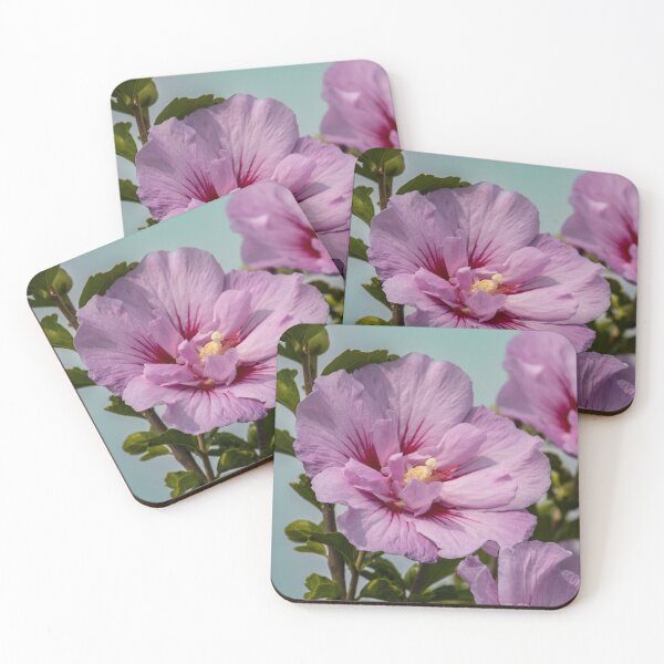 Item preview, Common Hibiscus in Bloom designed and sold by Tim Dusenberry.