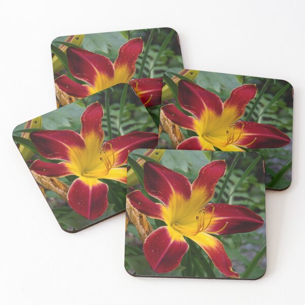 Item preview, Beautiful Daylily in Bloom designed and sold by Tim Dusenberry.